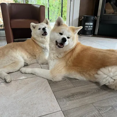 Domus 26 Occidens Duo 3*