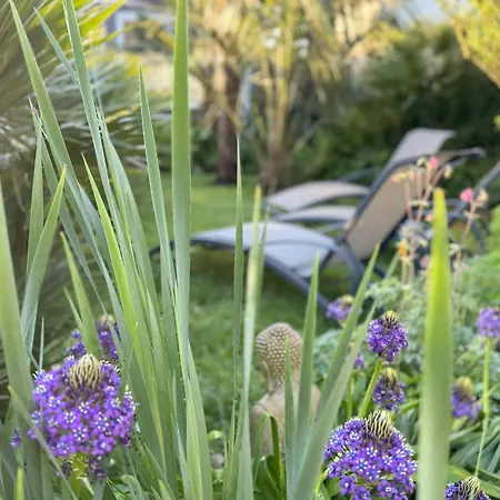 Domus 26 Occidens Duo 3* Montaigu-Vendee