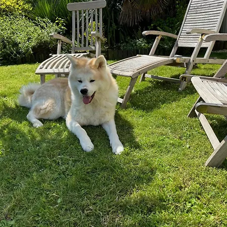 לינה וארוחת בוקר Domus 26 Occidens Duo מונטגו