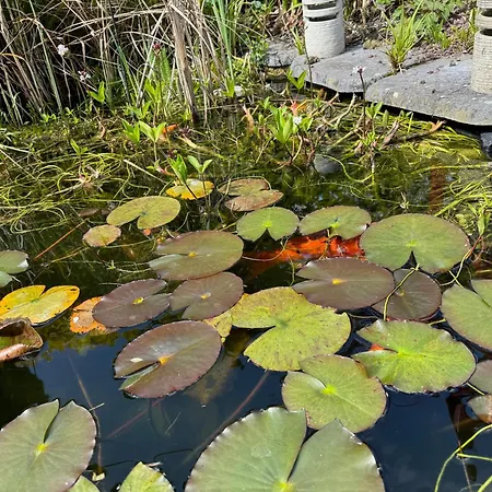 Domus 26 Occidens Duo 3*