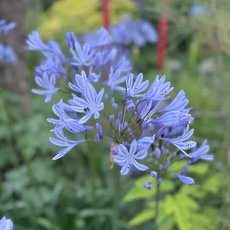 Oda ve Kahvaltı Domus 26 Occidens Duo