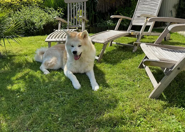 Panzió Domus 26 Occidens Duo Montaigu-Vendee