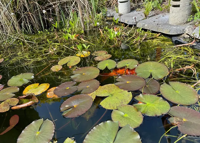 Domus 26 Occidens Duo 3*